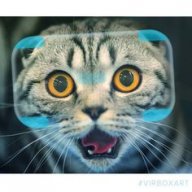 VRcat