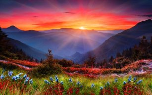 Foster_Urijah4532